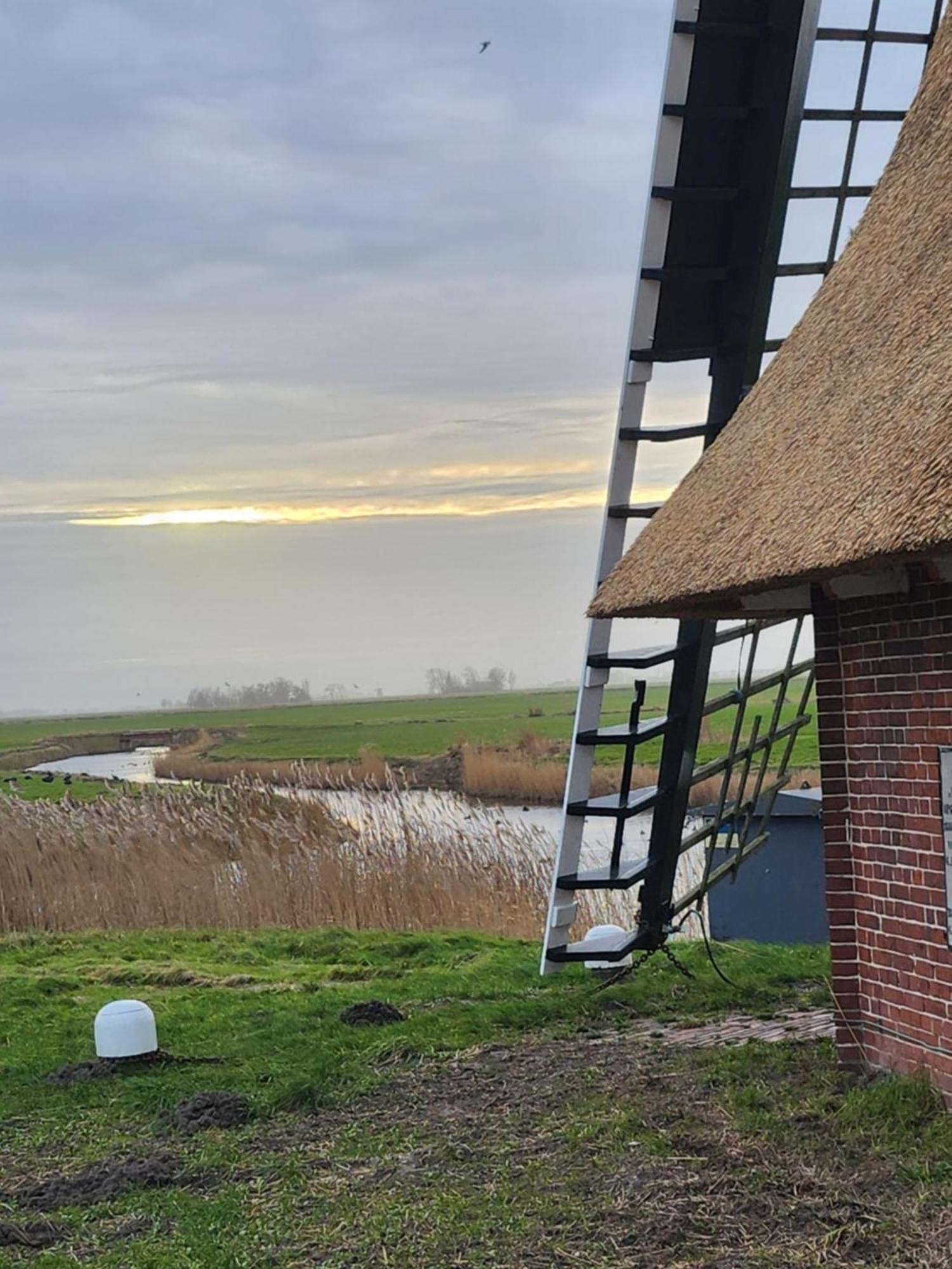 In Het Mooie Friesland Vele Bezienswaardigheden Hantum 외부 사진