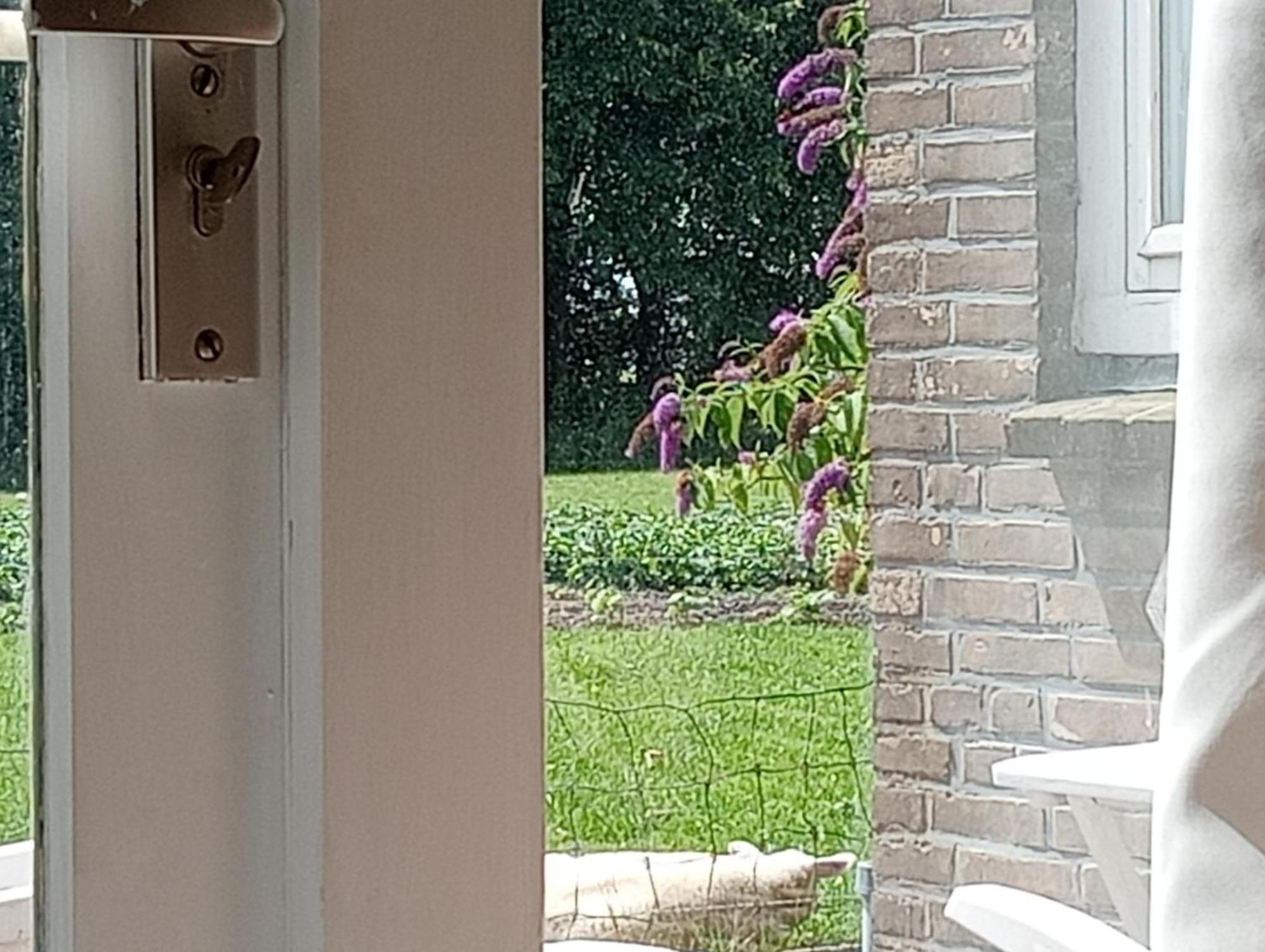 In Het Mooie Friesland Vele Bezienswaardigheden Hantum 외부 사진